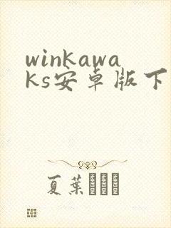 winkawaks安卓版下载