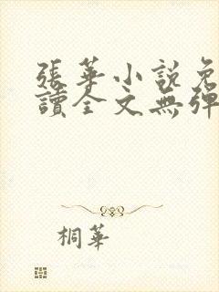 张华小说免费阅读全文无弹窗