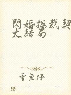 闪婚总裁契约妻大结局