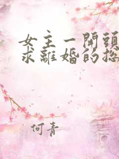 女主一开头就要求离婚的总裁文小说