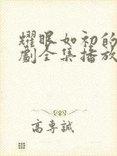 耀眼如初的你短剧全集播放