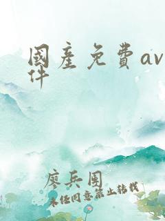 国产免费av软件