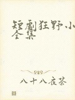 短剧狂野小神医全集