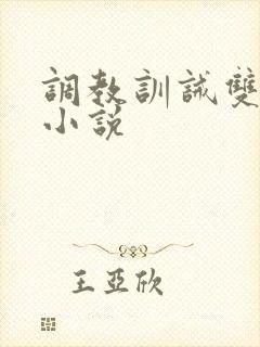 调教训诫双男主小说