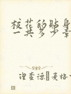 校花的贴身高手一共多少章节