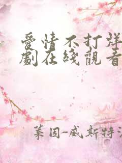 爱情不打烊电视剧在线观看免费