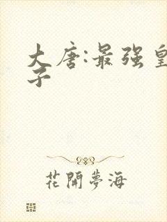 大唐:最强皇太子