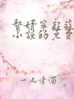 赘婿宁毅苏檀儿小说的免费阅读