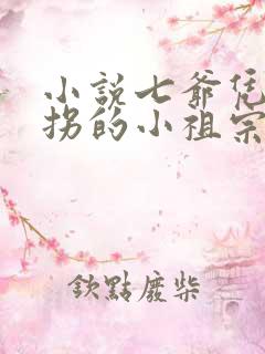小说七爷凭本事拐的小祖宗免费阅读