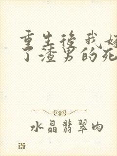 重生后 我嫁给了渣男的死对头