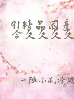 91精品国产综合久久久久久