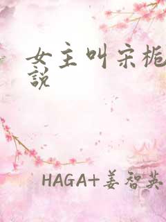 女主叫宋栀的小说