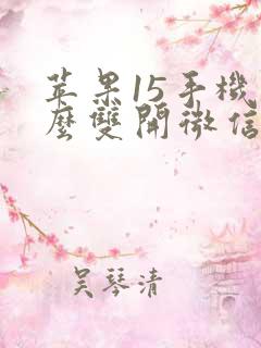 苹果15手机怎么双开微信分身软件