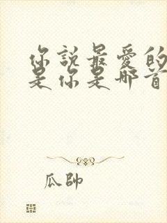 你说最爱的人就是你是哪首歌词