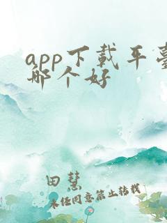 app下载平台哪个好