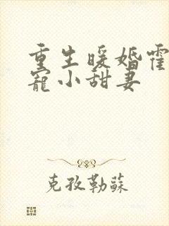 重生暖婚霍总狠宠小甜妻