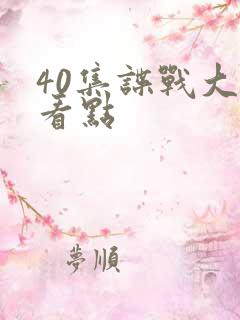 40集谍战大剧看点