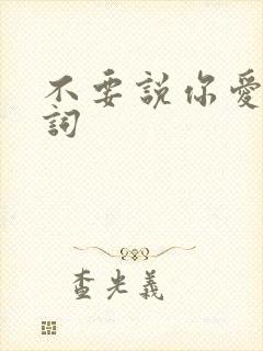 不要说你爱我歌词