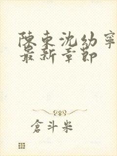 陈东沈幼宁小说最新章节