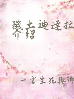 秽土迪达拉技能介绍