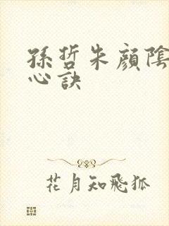 孙哲朱颜阴阳圣心诀