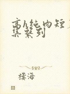 高h纯肉短篇合集系列