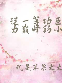 从一等功臣到权力巅峰的小说书旗网