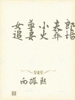 女尊小夫郎需要追妻火葬场