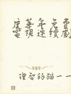 度华年免费观看电视连续剧