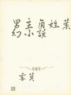 男主角姓叶的玄幻小说