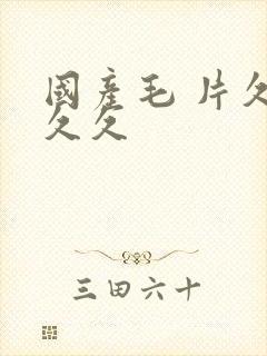 国产毛 片久久久久