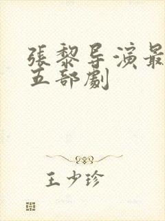 张黎导演最好的五部剧