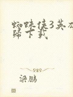 蜘蛛侠3英雄无归下载