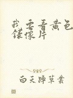 我要看黄色一级录像片