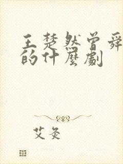 王楚然曾舜合作的什么剧