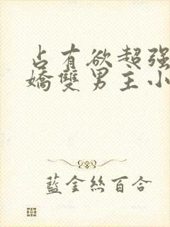 占有欲超强的病娇双男主小说攻受