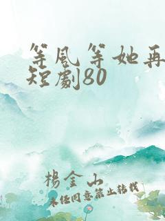 等风等她再回头短剧80