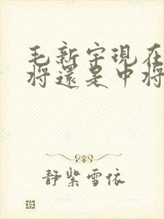 毛新宇现在是少将还是中将