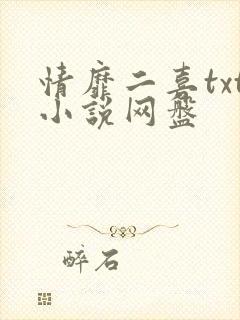 情靡二喜txt小说网盘