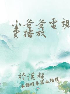 小爸爸电视剧免费播放