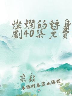 灿烂的转身电视剧40集免费观看全集