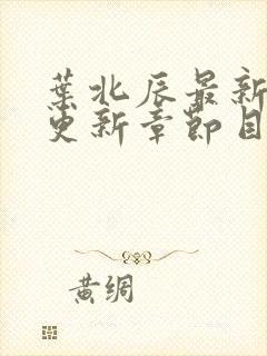 叶北辰最新超前更新章节目录