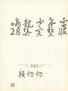 鸣龙少年电视剧28集完整版