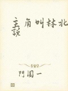 主角叫林北的小说