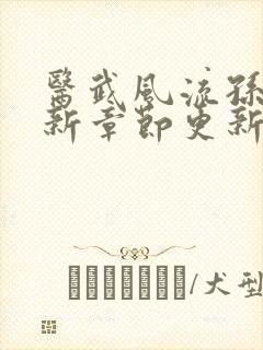 医武风流孙哲最新章节更新