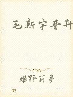 毛新宇晋升中将