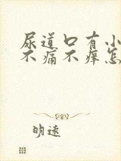 尿道口有小疙瘩不痛不痒怎么回事