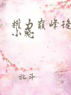 权力巅峰后续刘小飞