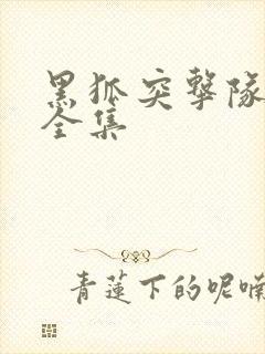 黑狐突击队免费全集