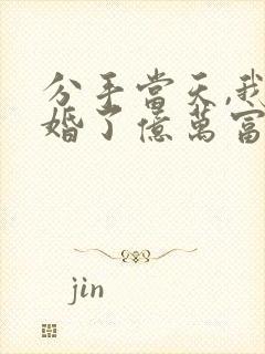 分手当天,我闪婚了亿万富豪小说版